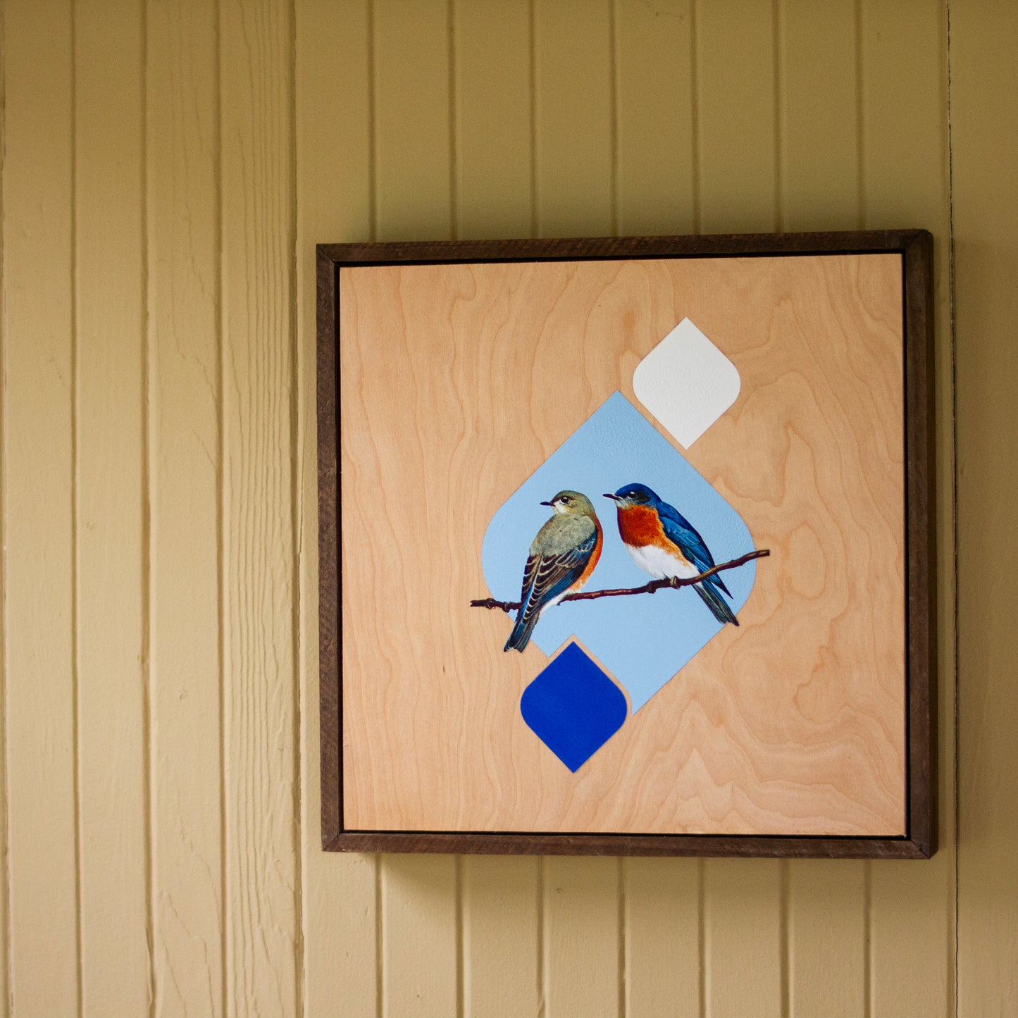 Eastern Bluebird Wooden Poster