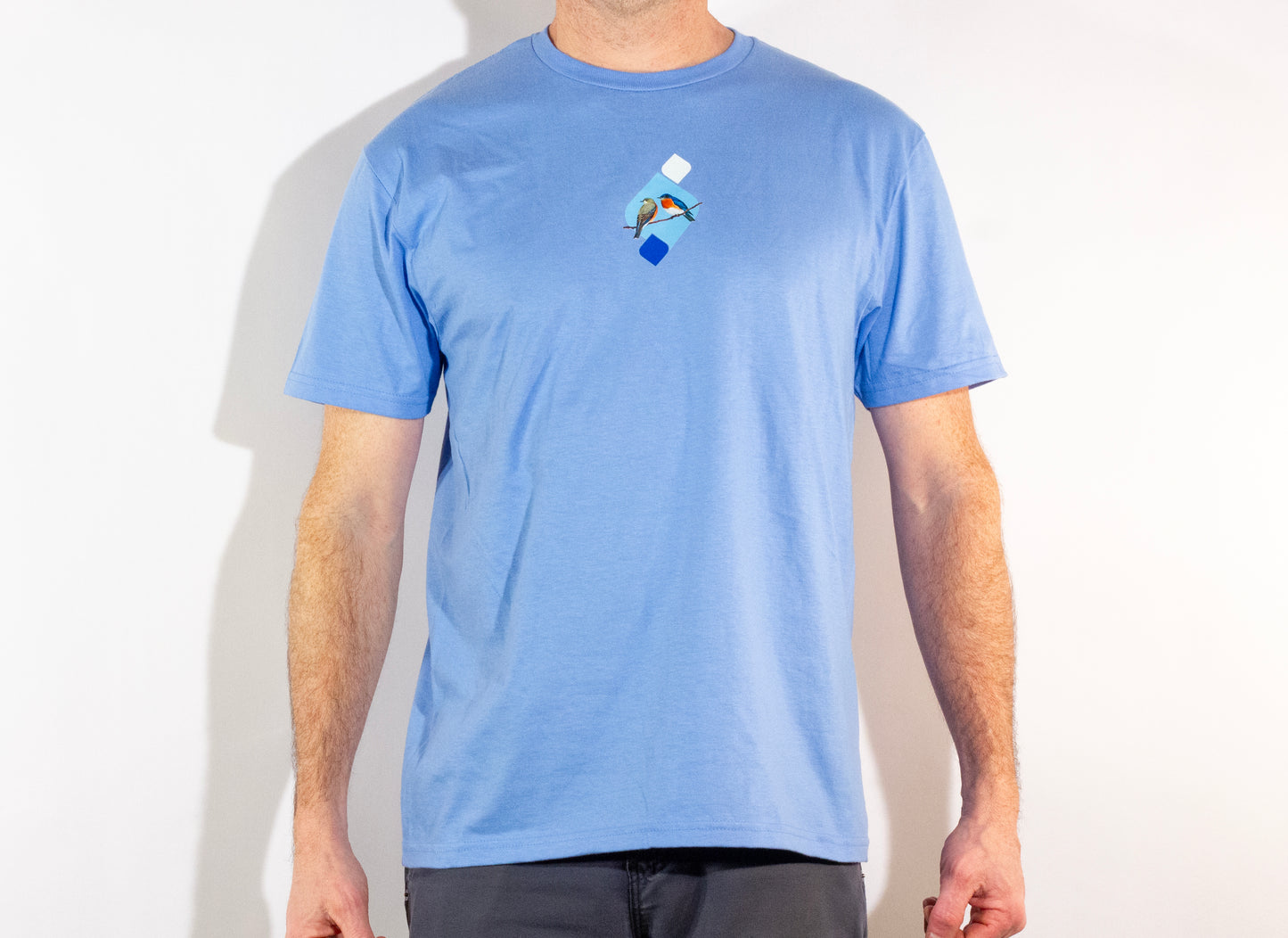 Northern Bluebird T Shirt