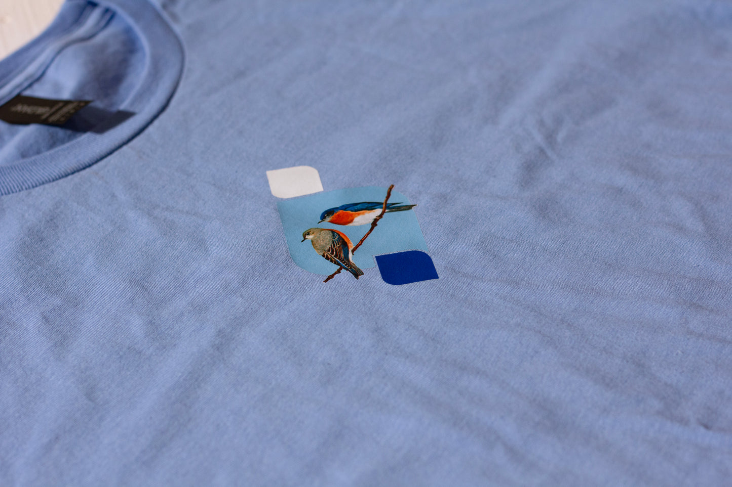 Northern Bluebird T Shirt
