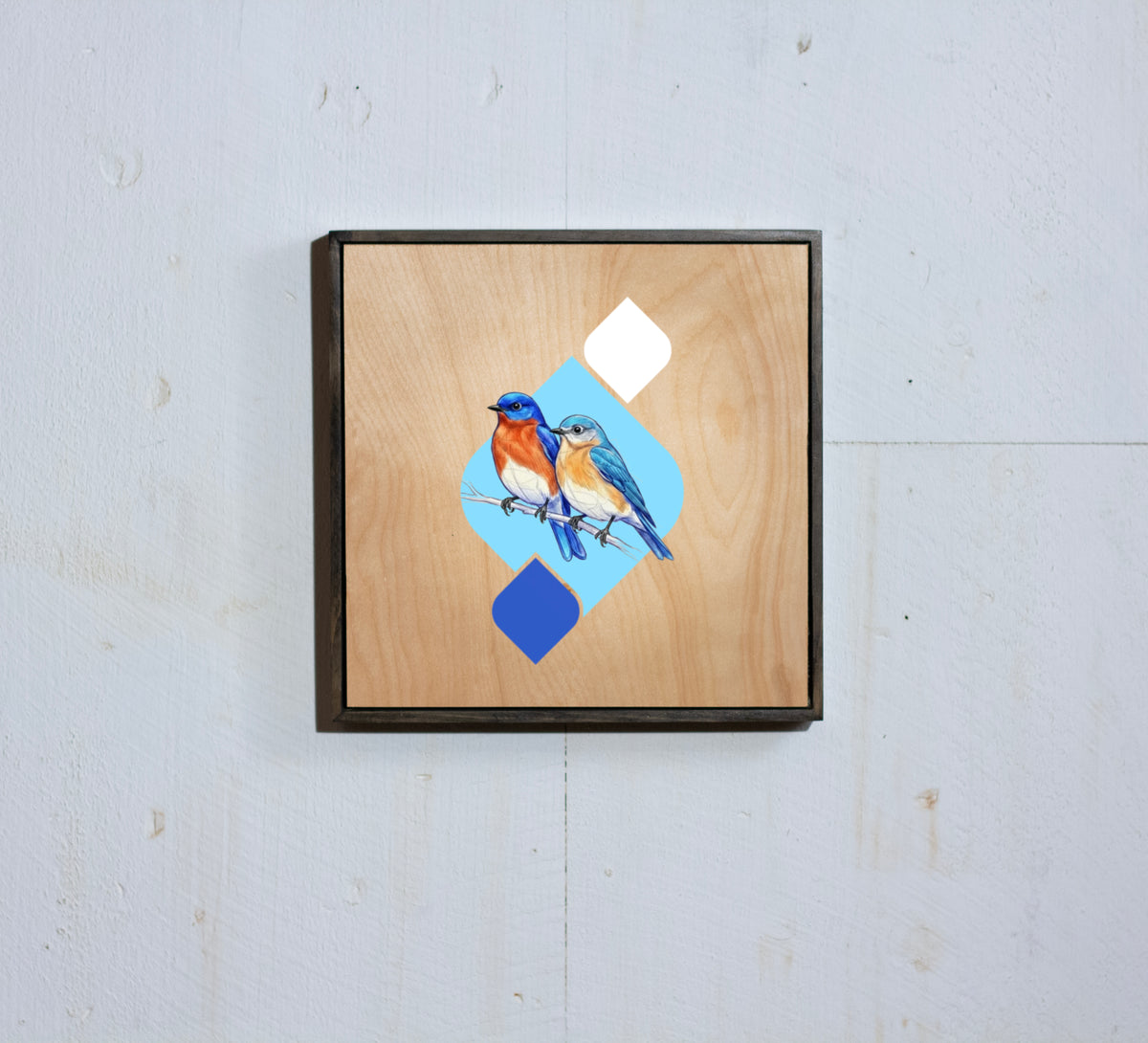 Eastern Bluebird Wooden Poster